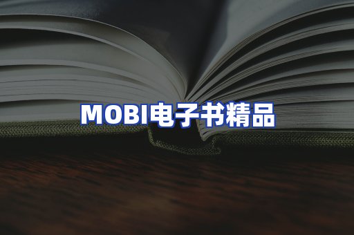 外文电子书产品
