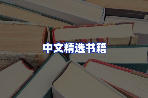 中文精选书籍